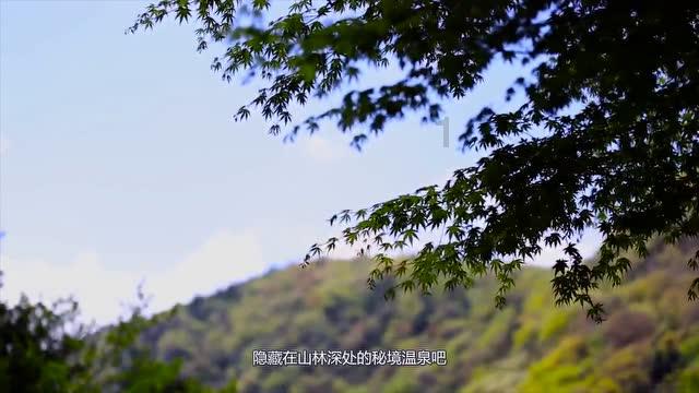 暗影之刃